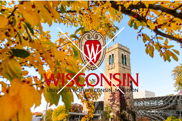 Logos for Print – Brand and Visual Identity – UW–Madison