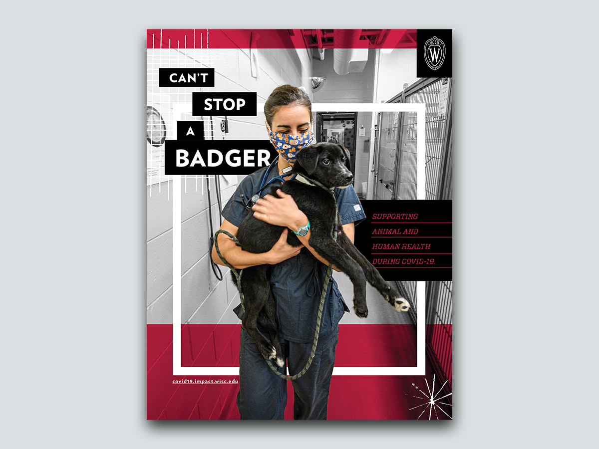 Magazine ad of person holding dog. Text: Can't Stop a Badger