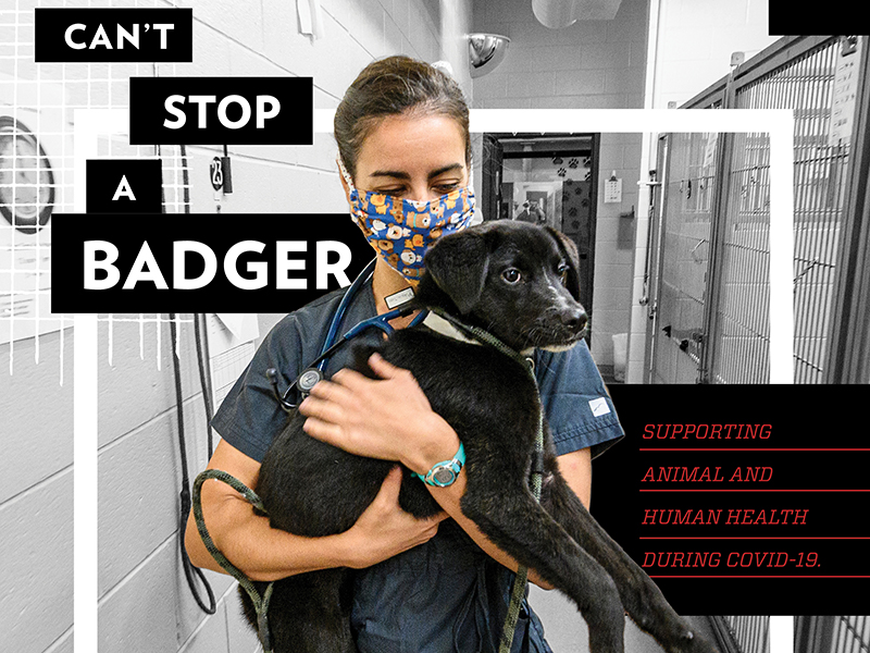 Ad with photo of person holding dog. Text: Can't Stop a Badger