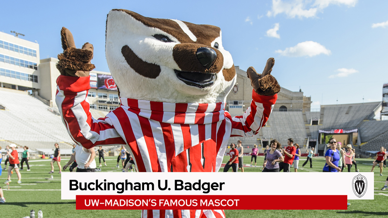 Video still featuring Bucky Badger and a lower third text graphic that reads "Buckingham U. Badger, UW–Madison's famous mascot"