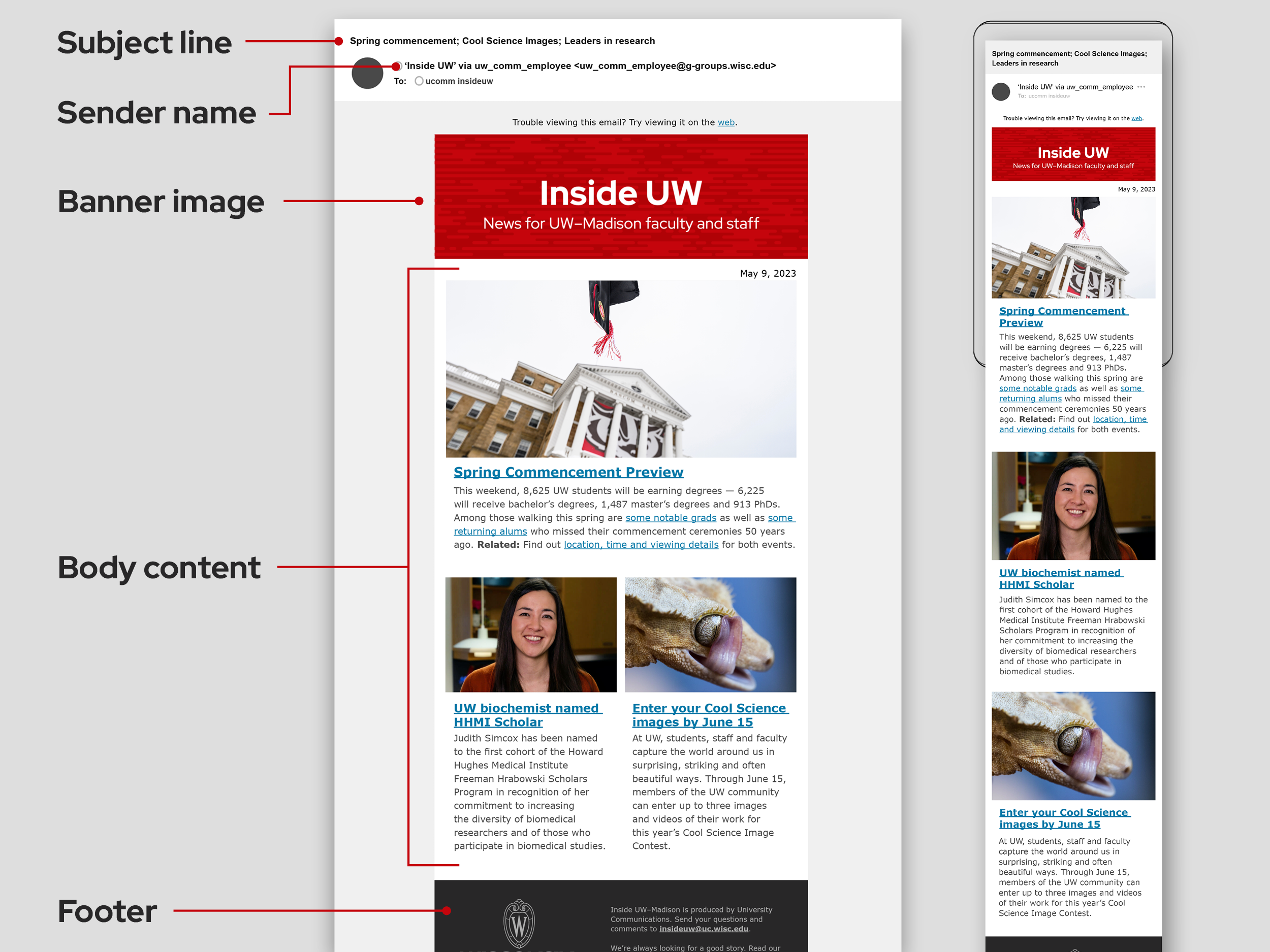 how-do-i-embed-a-canva-newsletter-in-an-email-websitebuilderinsider