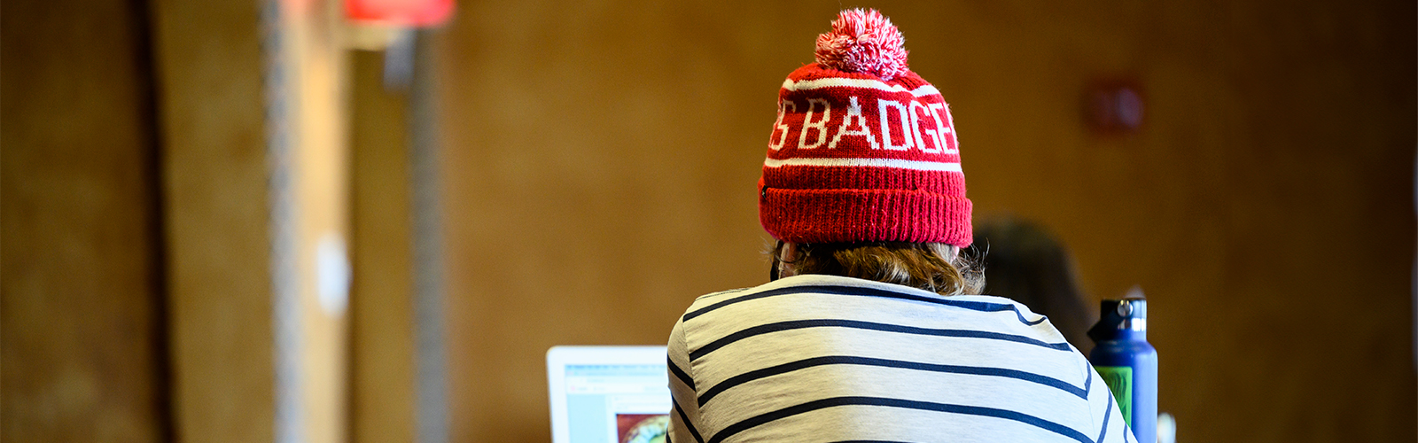 Person shown from behind wearing a red Wisconsin Badgers winter hat, works at a laptop