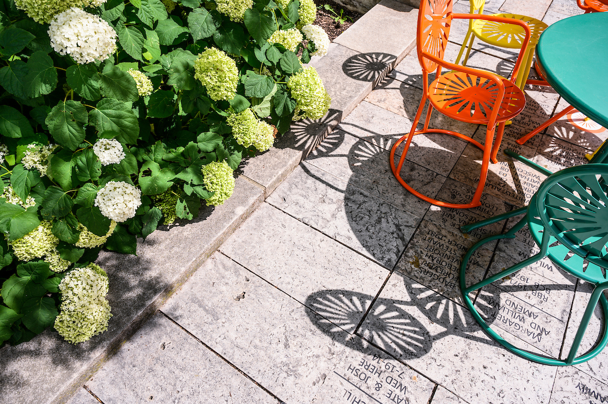 sunburst-designed chairs are pictured with blooming Hydrangea flowers at the Memorial Union Terrace