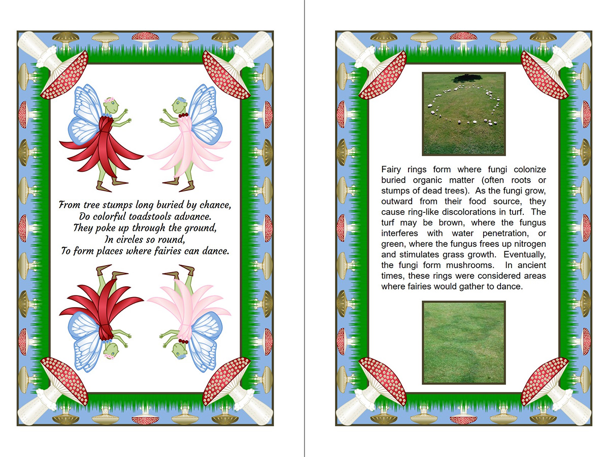 Interior spread from the book Limerickettsia depicting illustrations with verse, and photos and information about fairy rings.