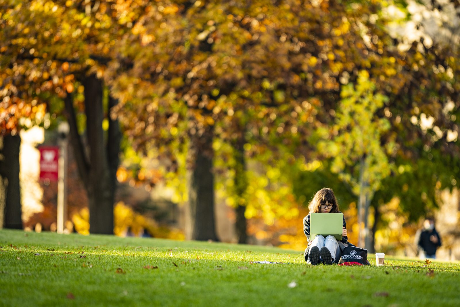 Person sitting in grassy area surrounded by autumn-colored leaves, working on laptop.