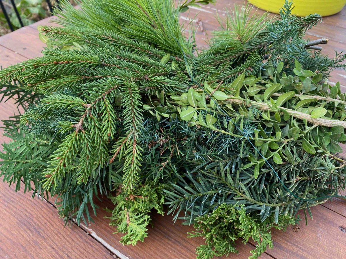 A bundle of assorted evergreen branches, including pine, spruce, and boxwood, placed on a wooden surface.