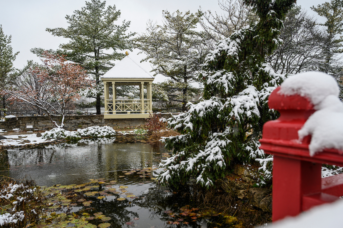 Snow-covered Allen Centennial Gardens with a small pond, evergreen trees, a yellow gazebo in the background, and a red wooden railing in the foreground.