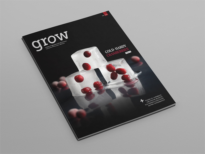The cover of Grow magazine showing three ice cubes stacked with cranberries inside of them